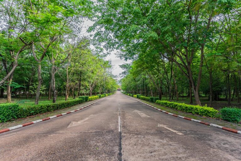 Dengan berbagai keunggulan yang dimiliki, tidak heran jika Universitas Subang menjadi pilihan terbaik bagi para calon mahasiswa yang ingin melanjutkan pendidikan tinggi di Indonesia. Universitas ini terus berkomitmen untuk memberikan pendidikan yang berkualitas dan relevan dengan perkembangan zaman, sehingga lulusan Universitas Subang siap bersaing di pasar kerja global.